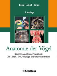 Vorderes Coverbild Anatomie der Vögel