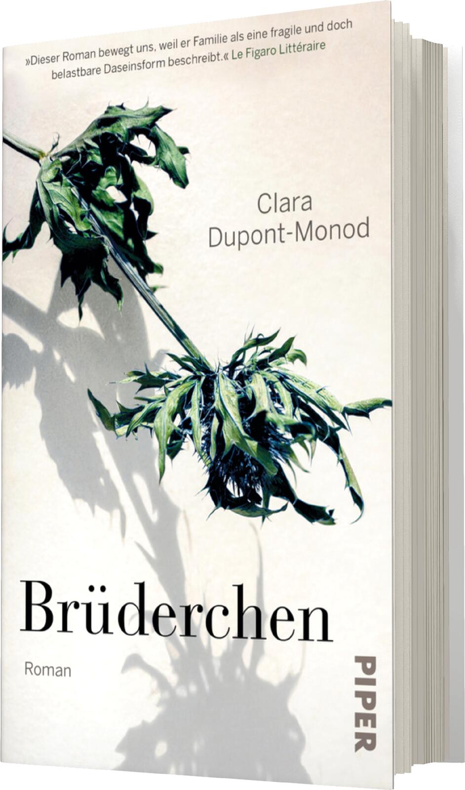 Anderes Coverbild Brüderchen