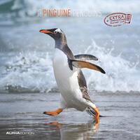Vorderes Coverbild Alpha Edition - Pinguine 2025 Broschürenkalender, 30x30cm, Wandkalender mit Platz für Notizen und Termine, Motive von süßen Pinguinen, Monatsübersicht und Ferientermine DE/AT/CH