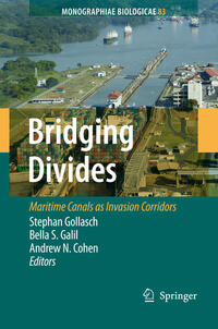 Vorderes Coverbild Bridging Divides
