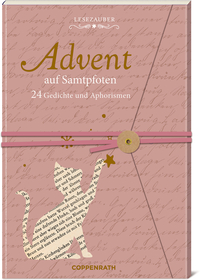 Vorderes Coverbild Brief-Adventskalenderbuch - Advent auf Samtpfoten