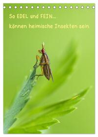 Vorderes Coverbild So EDEL und FEIN... können heimische Insekten sein (Tischkalender 2025 DIN A5 hoch), CALVENDO Monatskalender