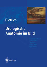 Vorderes Coverbild Urologische Anatomie im Bild