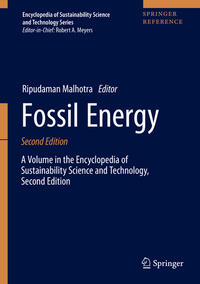 Vorderes Coverbild Fossil Energy