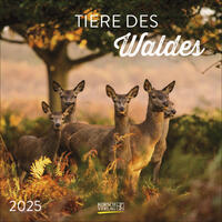 Vorderes Coverbild Tiere des Waldes 2025
