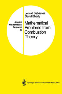 Vorderes Coverbild Mathematical Problems from Combustion Theory