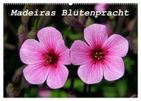 Vorderes Coverbild Madeiras Blütenpracht (Wandkalender 2025 DIN A2 quer), CALVENDO Monatskalender