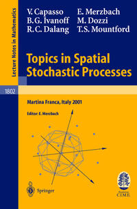 Vorderes Coverbild Topics in Spatial Stochastic Processes