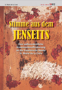 Vorderes Coverbild Stimme aus dem Jenseits