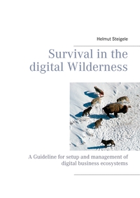 Vorderes Coverbild Survival in the digital Wilderness