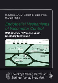 Vorderes Coverbild Endothelial Mechanisms of Vasomotor Control