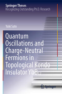 Vorderes Coverbild Quantum Oscillations and Charge-Neutral Fermions in Topological Kondo Insulator YbB12