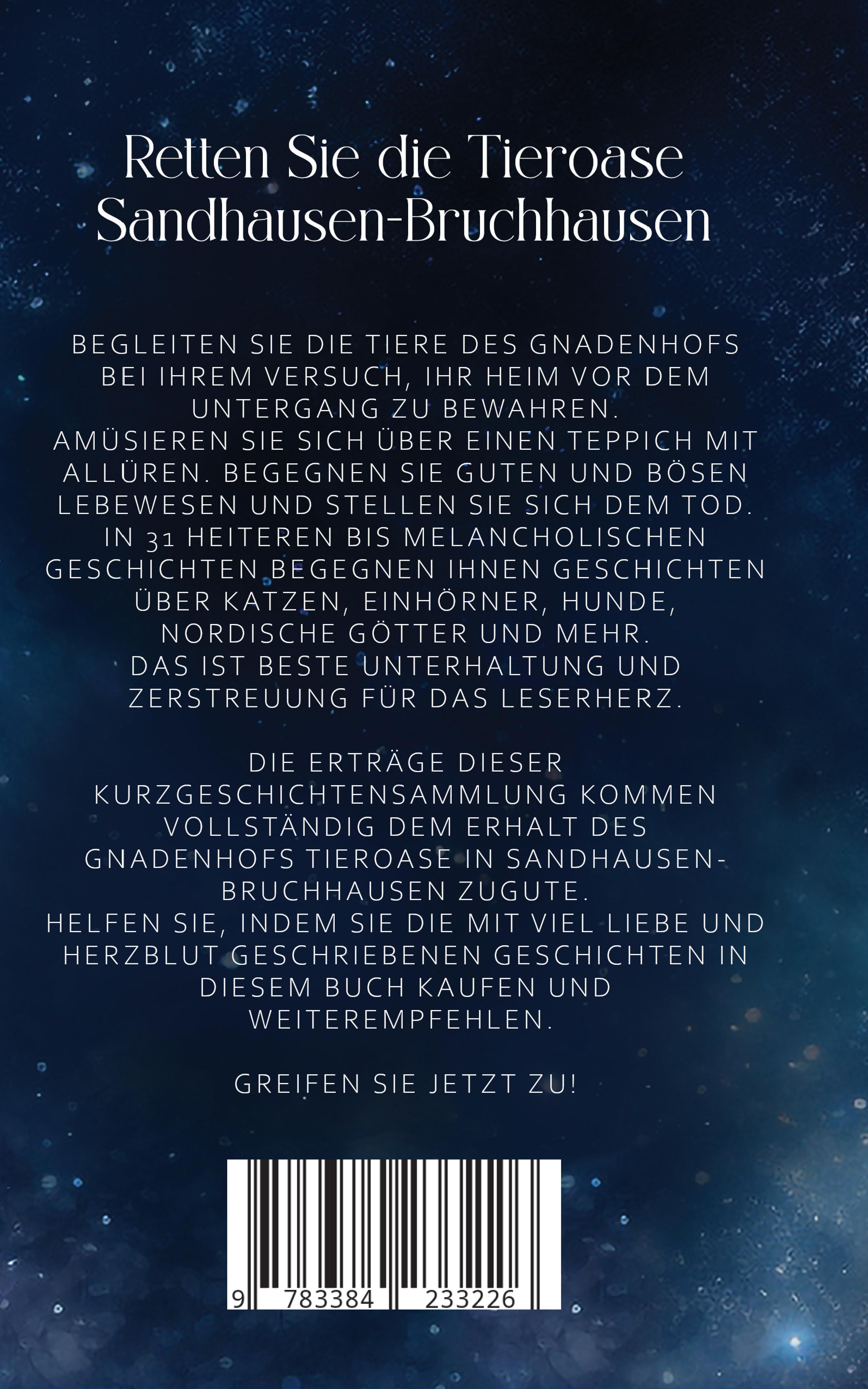 Rückseitencover Blauer Nebel