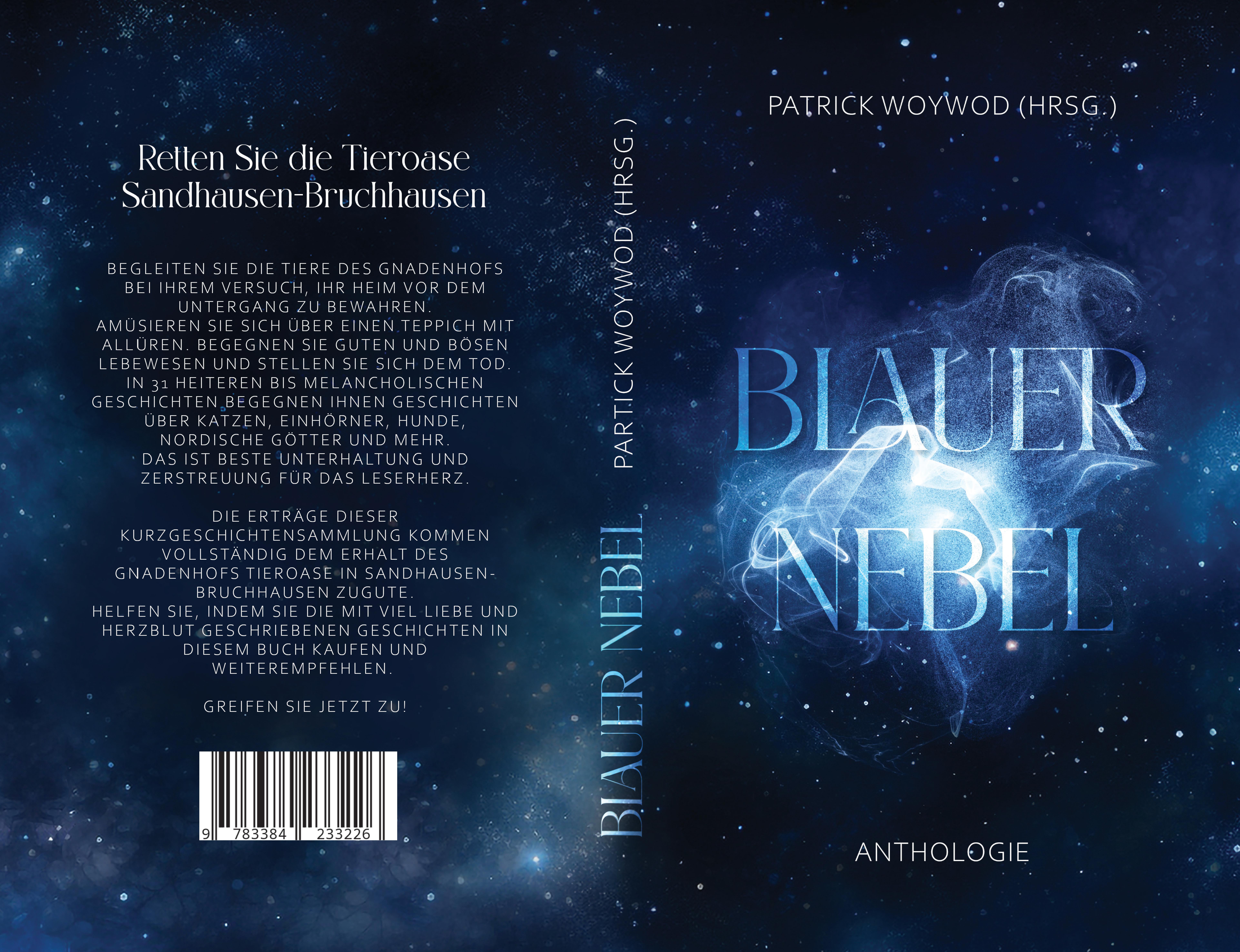 Gesamtes Coverbild Blauer Nebel