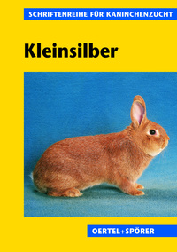 Vorderes Coverbild Kleinsilber