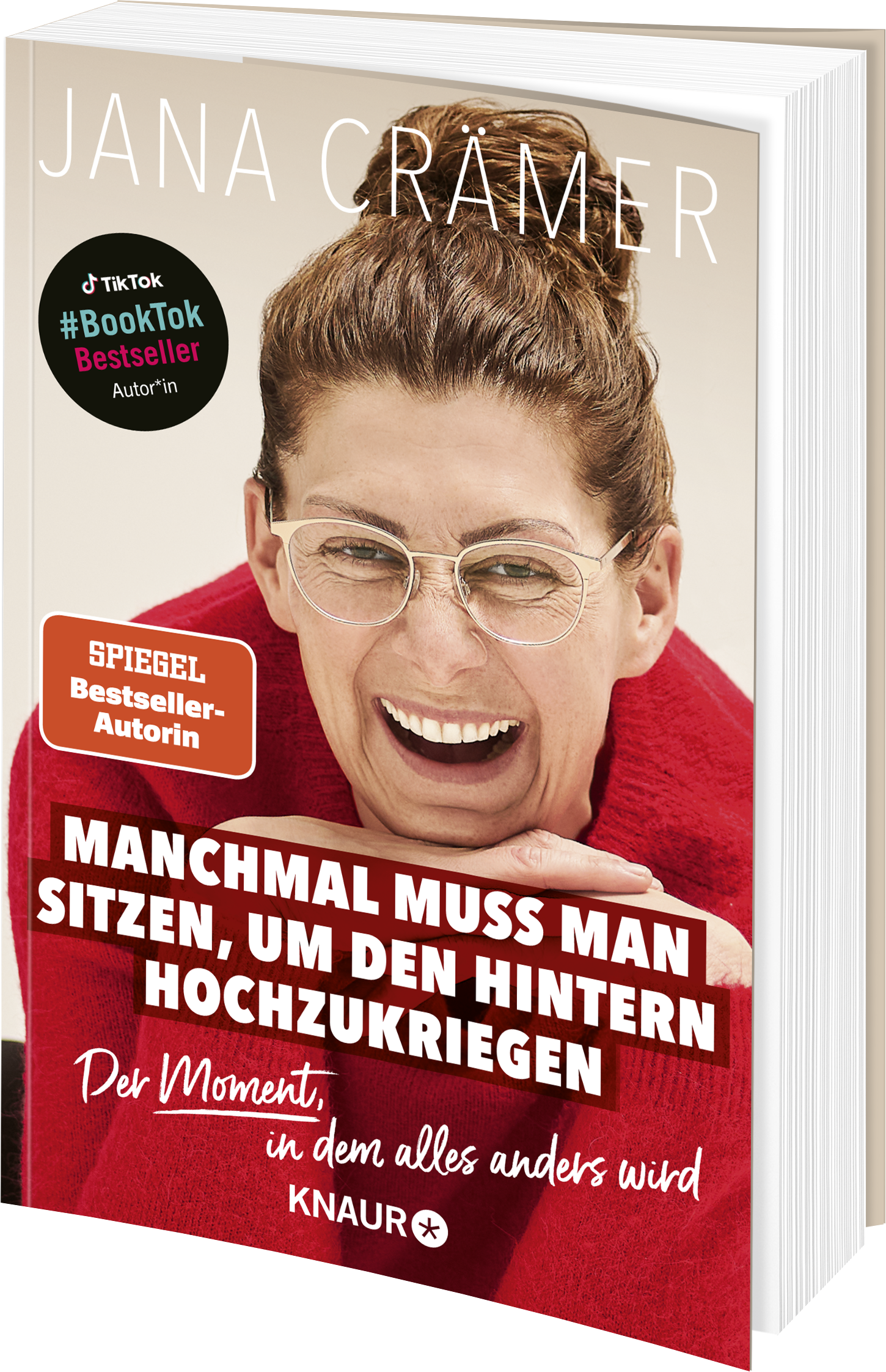 Anderes Coverbild Manchmal muss man sitzen, um den Hintern hochzukriegen