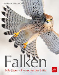 Vorderes Coverbild Falken
