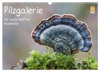 Vorderes Coverbild Pilzgalerie - Die bunte Welt der Baumpilze (Wandkalender 2025 DIN A3 quer), CALVENDO Monatskalender