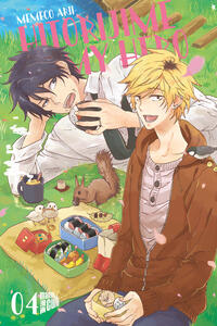 Vorderes Coverbild Hitorijime my Hero 4