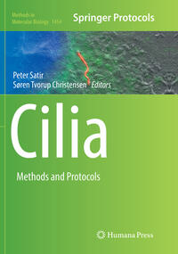 Vorderes Coverbild Cilia