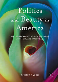 Vorderes Coverbild Politics and Beauty in America