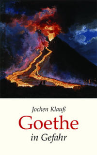 Vorderes Coverbild Goethe in Gefahr