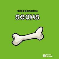 Vorderes Coverbild Cartoonbuch sechs