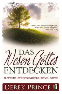 Vorderes Coverbild Das Wesen Gottes entdecken