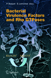 Vorderes Coverbild Bacterial Virulence Factors and Rho GTPases