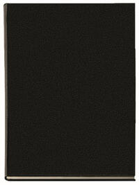 Vorderes Coverbild Buchkalender Manager-Timer Balaton schwarz 2025
