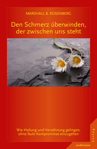 Vorderes Coverbild Den Schmerz überwinden, der zwischen uns steht