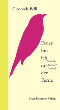 Vorderes Coverbild Feuer bin ich in der Ferne