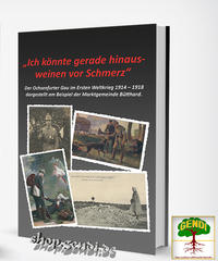 Vorderes Coverbild „Ich könnte gerade hinausweinen vor Schmerz“