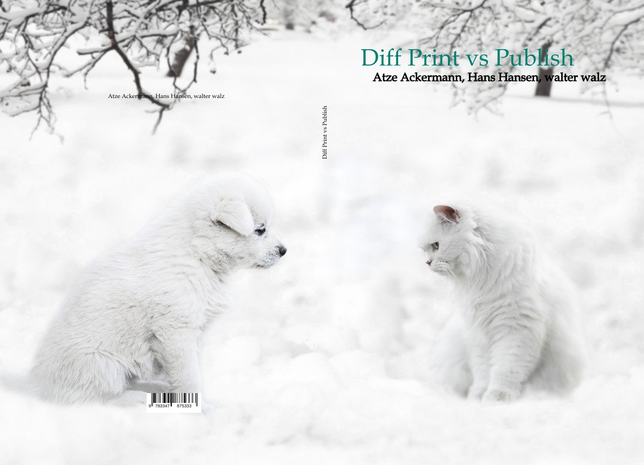 Gesamtes Coverbild Diff Print vs Publish