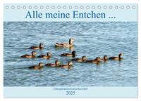 Vorderes Coverbild Alle meine Entchen ... Entenparadies Kurisches Haff (Tischkalender 2025 DIN A5 quer), CALVENDO Monatskalender