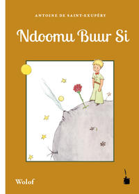 Vorderes Coverbild Ndoomu Buur Si