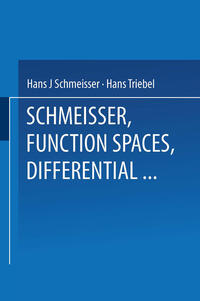 Vorderes Coverbild Function Spaces, Differential Operators and Nonlinear Analysis