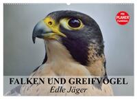 Vorderes Coverbild Falken und Greifvögel - Edle Jäger (Wandkalender 2026 DIN A2 quer), CALVENDO Monatskalender
