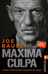 Vorderes Coverbild Maxima Culpa