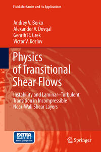 Vorderes Coverbild Physics of Transitional Shear Flows