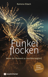 Vorderes Coverbild Funkelflocken