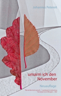 Vorderes Coverbild umarm ich den November