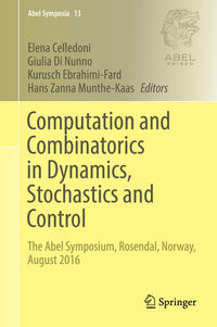 Vorderes Coverbild Computation and Combinatorics in Dynamics, Stochastics and Control