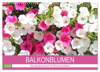 Vorderes Coverbild Balkonblumen. Die Blütenpracht für Blumenkästen (Wandkalender 2025 DIN A3 quer), CALVENDO Monatskalender