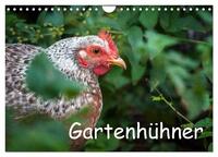 Vorderes Coverbild Gartenhühner (Wandkalender 2025 DIN A4 quer), CALVENDO Monatskalender
