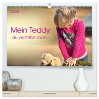 Vorderes Coverbild Mein Teddy - du verstehst mich (hochwertiger Premium Wandkalender 2025 DIN A2 quer), Kunstdruck in Hochglanz