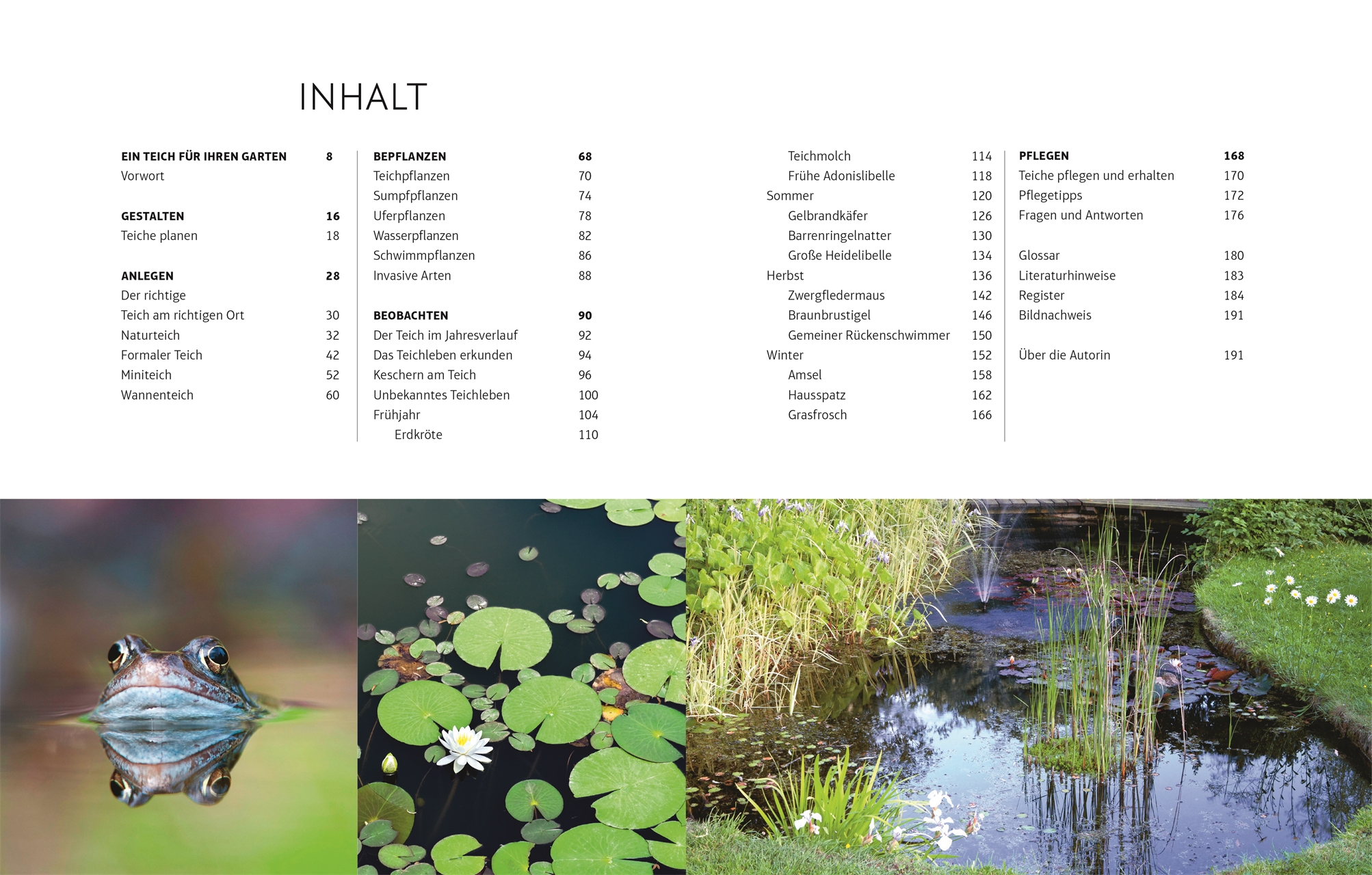 Beispielinhalt (Bild) Leben am Gartenteich
