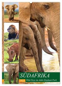 Vorderes Coverbild SÜDAFRIKA Wild-Tiere im Addo Elephant Park (Wandkalender 2025 DIN A2 hoch), CALVENDO Monatskalender