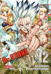 Vorderes Coverbild Dr. Stone 12