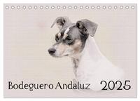 Vorderes Coverbild Bodeguero Andaluz 2025 (Tischkalender 2025 DIN A5 quer), CALVENDO Monatskalender